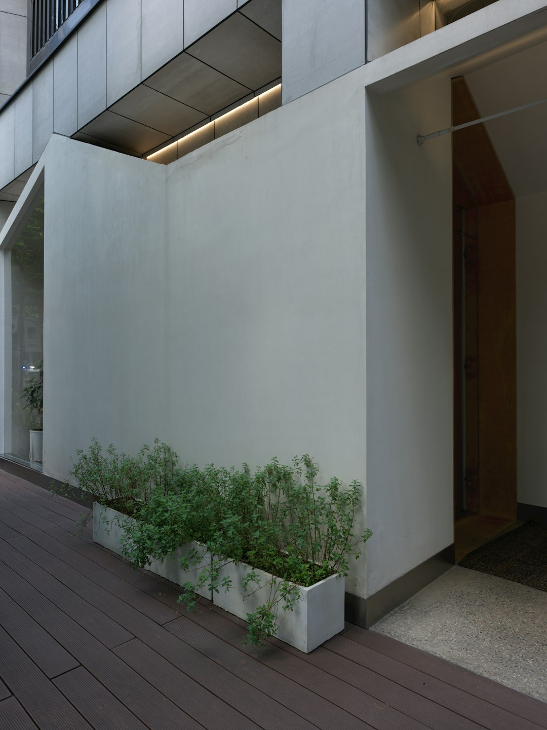 Aether Flame Quorix Studios office